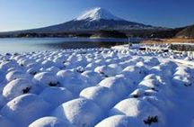 Mt Fuji Private Day Trip from Tokyo with English speaking driver