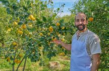 Cooking class in a villa with Palermo view