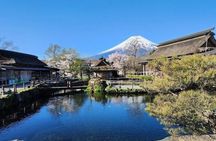 Mt Fuji Private Day Trip from Tokyo with English speaking driver