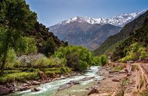 All Exclusive Day Trip from Marrakech to Ourika Valley