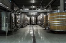 EXPLORATION - Visit of the estate, the cellars & tasting