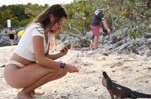 Nassau to Exuma Full-Day Trip Experience 