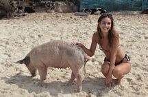 Nassau to Exuma Full-Day Trip Experience 