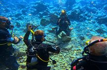 Chania Scuba Diving | Refresher Dives | Certified Divers