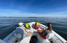 Sightseeing Boat Tour in Portland's Casco Bay Bird's Eye Maine
