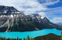 Banff Icefield Parkway Private Full Day Tour