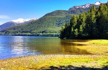 Alaska Bears and Silver Bay Homestead