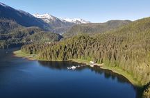 Alaska Bears and Silver Bay Homestead