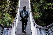 Guided Rainforest & Suspension Bridge Private Hike