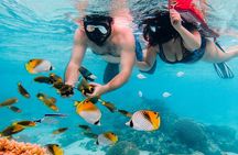 Private Rarotonga Turtle Tour