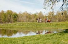 Horseback Riding in Niagara with a Trail Riders Experience