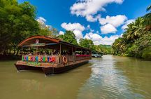 8-Day Private Cebu and Bohol Tour in the Philippines 
