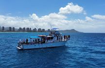 Honolulu Bottom Fishing and Fireworks Cruise