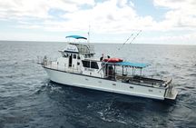 Honolulu Bottom Fishing and Fireworks Cruise