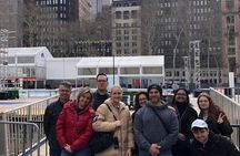 Top of the Rock and NYC 30+ Sights Walking Tour