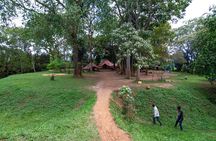Full Day Buganda Traditions, Culture Sites and Norms Tour 