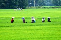 5 Nights 6 Days in Kerala Hills and Backwaters