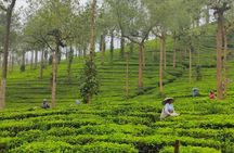 5 Nights 6 Days in Kerala Hills and Backwaters