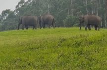 5 Nights 6 Days in Kerala Hills and Backwaters
