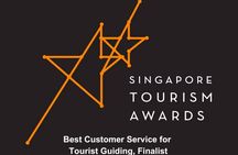 Private Singapore Walking Tour with a Local- Half day or Full Day