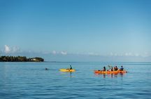 Guided Kayak 2 Hours Activity with Dolphins