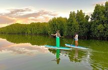 Guided Stand Up Paddle on Tamarin River