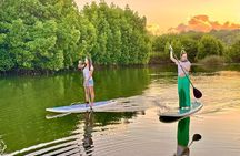 Guided Stand Up Paddle on Tamarin River
