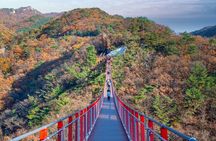Best DMZ Tour Korea from Seoul (Red Suspension Bridge Optional)