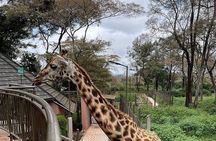 Day Tour at Nairobi National Park and Giraffe Centre