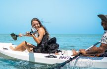 Mauritius Guided Kayak Experience to Benitiers Island