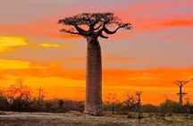 11 Days Private Tour in Madagascar