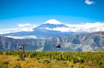 Private Tour to Mount Fuji & Hakone with English Speaking Guide