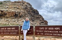 Full-Day Private Tour: Highlights of the Cape