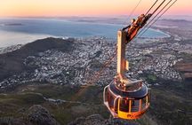 Full-Day Private Tour: Highlights of the Cape