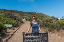 Full-Day Private Tour: Highlights of the Cape