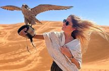 Evening Red Dune Desert Safari Dubai with Quad Bike Experience