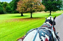 Killarney Jaunting Car Tour