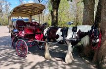Killarney Jaunting Car Tour