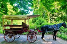 Killarney Jaunting Car Tour