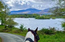 Killarney Jaunting Car Tour