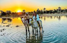 Horseback riding or camel at sunset in Djerba