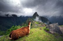 From Cusco: Machu Picchu Full-Day Group Tour