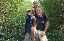 Kampot/Cambodia pepper farm . Cave. lake. Kep Crab market & more.