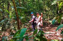 One-day adventure in Corcovado National Park
