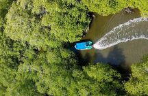 One-day adventure in Corcovado National Park