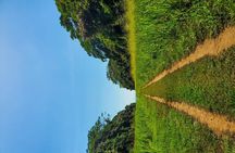 One-day adventure in Corcovado National Park