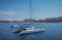 Multimillion Yacht Cruise Sunset Snorkel whale watch Hotel PICKUP