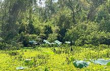 Discover Tan Lap Floating Village: A Tranquil Mekong Delta Escape