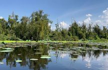 Discover Tan Lap Floating Village: A Tranquil Mekong Delta Escape