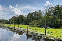 Discover Tan Lap Floating Village: A Tranquil Mekong Delta Escape